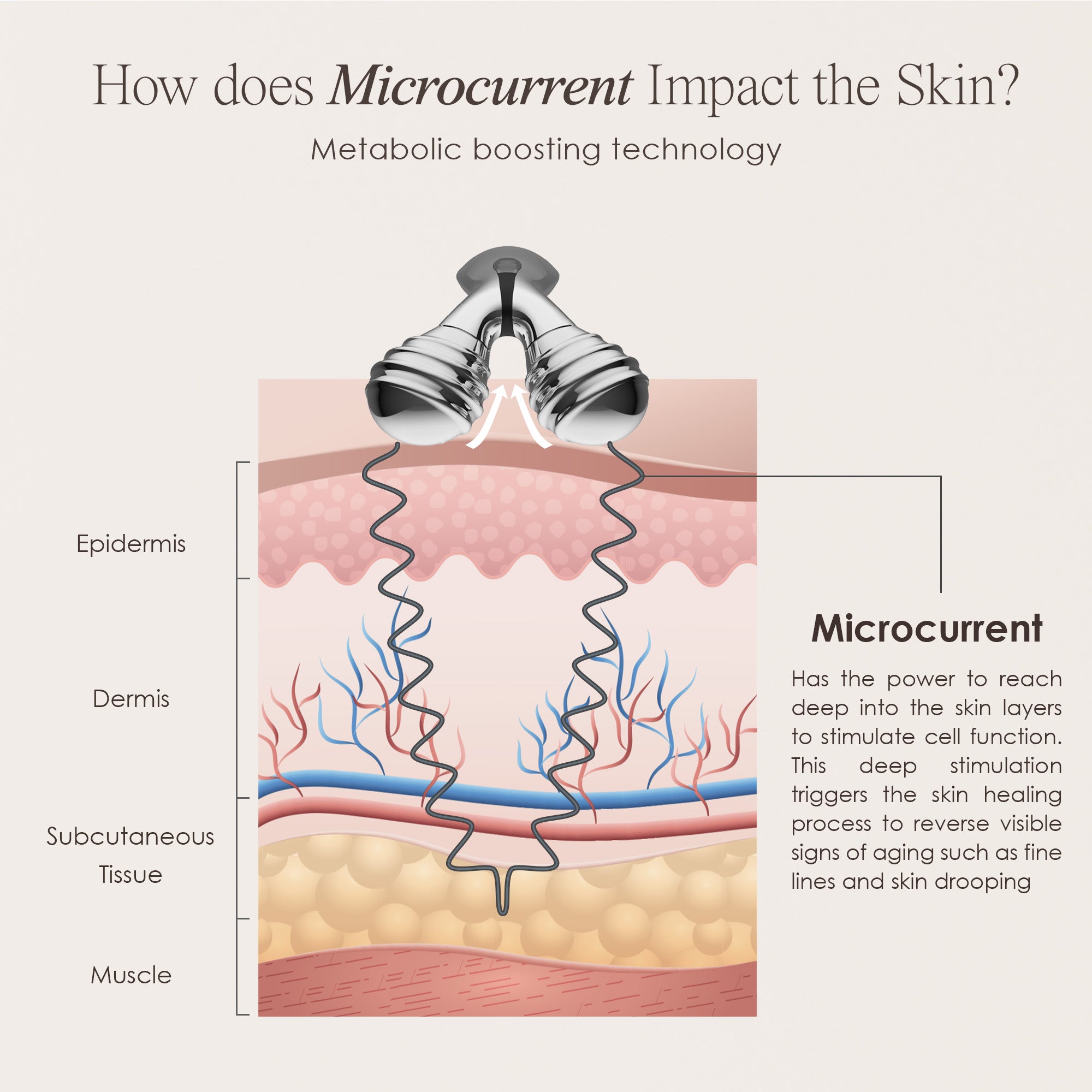 Vora microcurrent facial roller showing skin infographic on how microcurrent impacts the skin